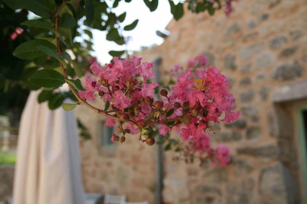 Hotel Village Balatura - Exclusive Veggie Tribalj  Exterior foto